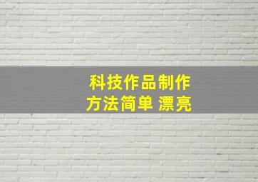 科技作品制作方法简单 漂亮